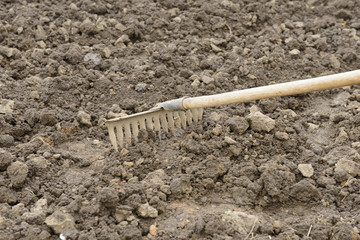 soil loosening with old hand rakes