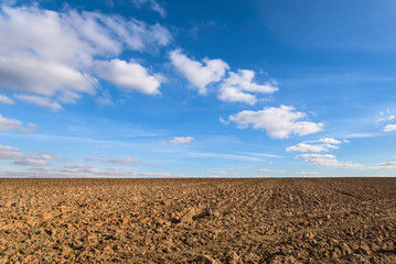 Plowed agricultural field