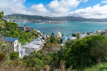 Mount Victoria views and homes