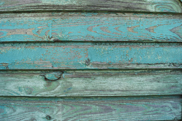  Beautiful wooden green, blue, turquoise, mint background for design, banner and layout.     