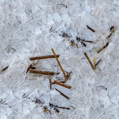 snow ice wood texture
