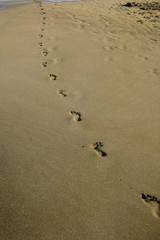 Spuren im Sand