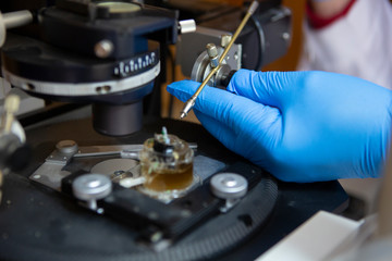 Naklejka premium scientist working at the laboratory