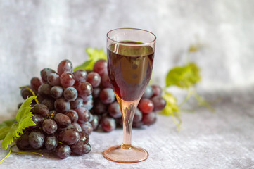 Bunch of ripe red grapes with a vine and a glass of red wine isolated on a gray background