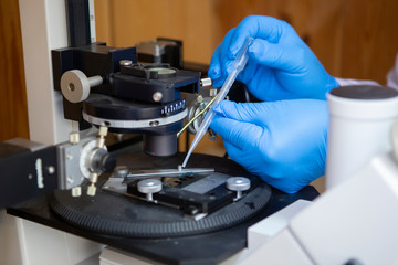 scientist working at the laboratory