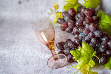 A bunch of ripe red grapes with a vine and an empty glass isolated on a gray background