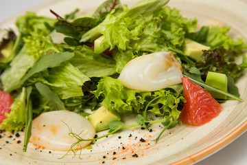 Squid salad and fresh vegetables on a plate on white background