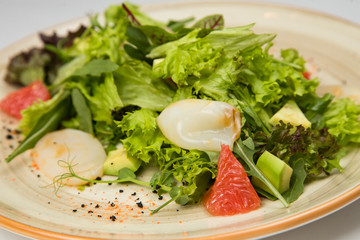 Squid salad and fresh vegetables on a plate on white background