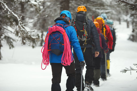 Group of climbers goes on snow-covered forest in the highlands.