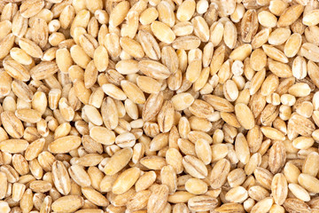 Raw pearl barley