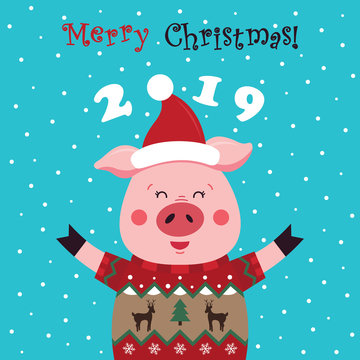 Pigs in a Christmas sweater, wearing a red Santa Claus hat. Merry Christmas - the inscription. Christmas card, poster, t-shirt. Vector illustration