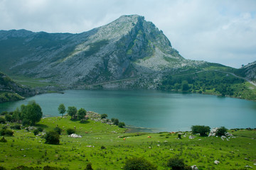 Beautiful nature of Spain: Covadonga mountain lakes in summer cloudy day.