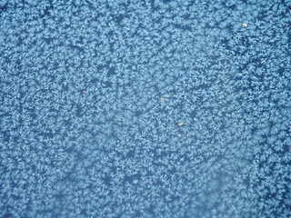 Ice crystals on the windshield of a car. Frost.