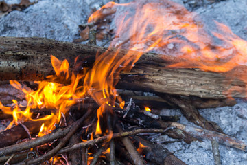 The warm of fire
