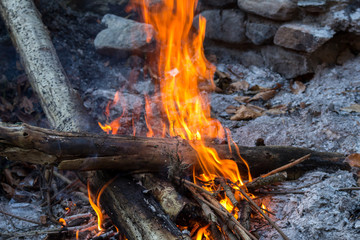 The warm of fire