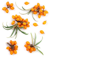 Sea buckthorn. Fresh ripe berry with leaves isolated on white background with copy space for your...