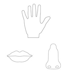 Isolated object of human and part sign. Set of human and woman stock symbol for web.