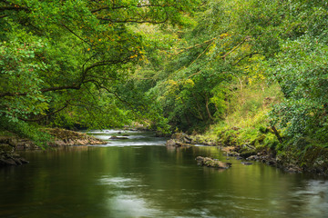 Stunning lush green riverbank with river flowing slowly past calm landscape
