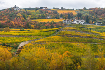 Picturesque autumnal view on a top of a hill with houses, colourful vineyards and vivid foliage on trees. Mountain scenery in Novacella, Varna, Bolzano in South Tyrol, Northern Italy.