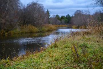 autumn colored trees and leaves in branches in park near body of water