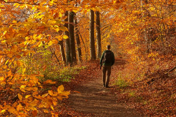 indian summer walk
