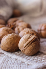 walnuts in season