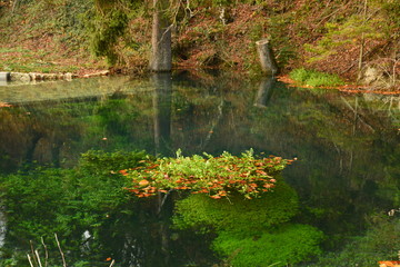 Herbst Landschaft bunt