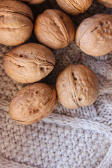 walnuts in season