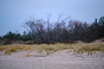 empty sea beach in autumn