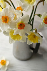 Spring narcissus flowers