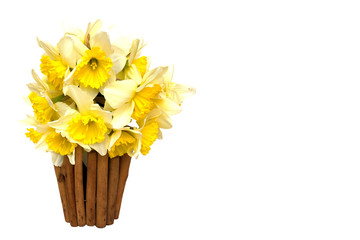 bouquet Yellow narcissus flowers in a wooden vase Isolated on white background and space for your text.