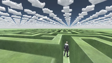 Mann innerhalb des grünen Labyrinths © rolffimages