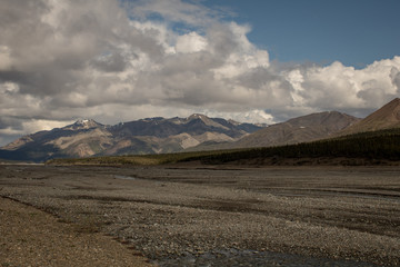 Fototapeta premium Tundra at Denali National Park Alaska