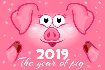 Cartoon greeting banner in the year of the pig. 2019 New Year. Vector illustration.