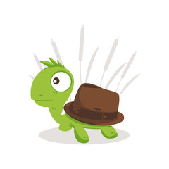 Turtle Hat illustration