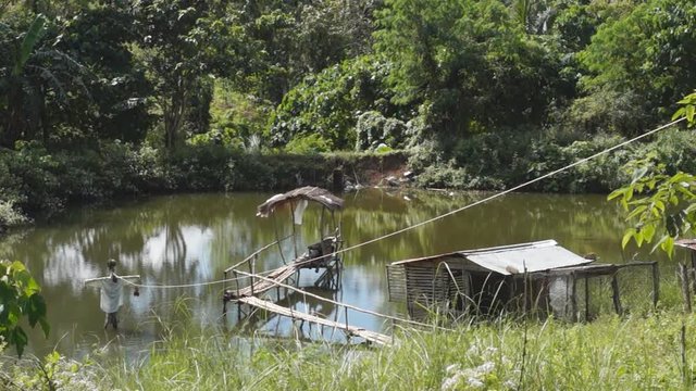 Bamboo hut and bamboo bridge inside man-made fish pond