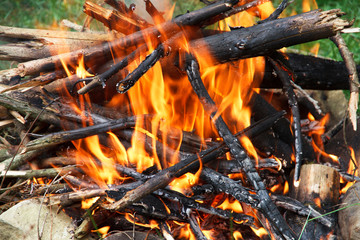 Bonfire wood. Fire element.