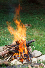 Bonfire in the forest. Be careful!