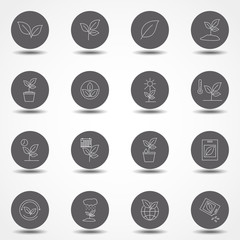 Simple Set of Plants Related Vector Line Icons. Thin line vector icons for website design and development, app development. Flat line vector illustration