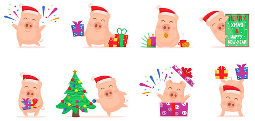 Vector little cartoon pigs characters posing in different situations. Illustrations of set cute piggys. Piglet illustration for card, posters, invitations, children room, decoration