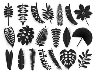 Tropical black paper cut leaves. Trendy summer exotic plants elemets with shadow isolated on white background. Black friday design elements. Origamy style vector illustration. - 232838600