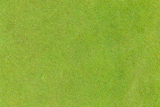 Golf Puttin Green Grass Texture Top View