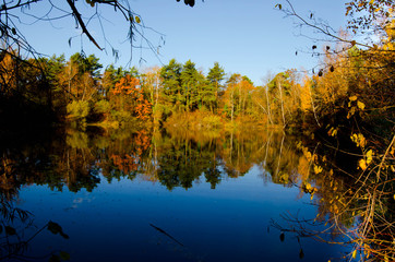 Herbstlicher See im Elsass