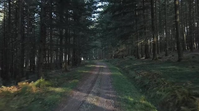 following track by drone in the fores