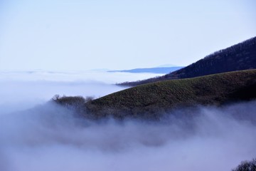 fog in mountin