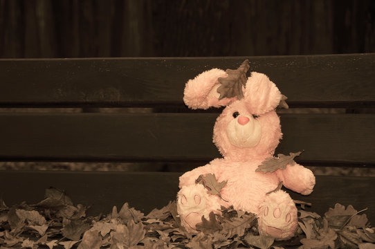 Lonely forgotten abandoned teddy toy bunny rabbit sat on a wooden bench covered with autumn leaves.  (sepia effect)