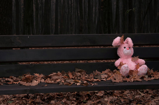 Lonely forgotten abandoned teddy toy bunny/rabbit sat on an wooden bench covered with autumn leaves. (concept: depression, loneliness, farewell)
