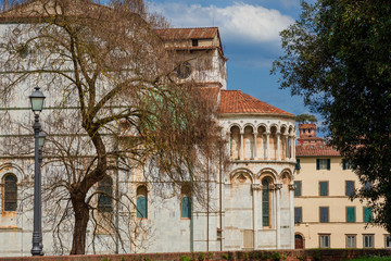 View of Lucca historic center with medieval cathedral and tower from ancient city walls