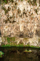 fountains of Palazzo Farnese