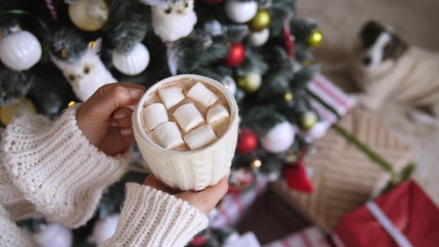 Close-Up Cup Of Hot Chocolate With Marshmellow On Christmas Tree Background